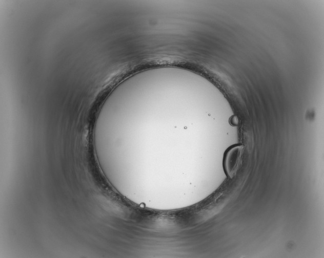 X0000091290308200708101032