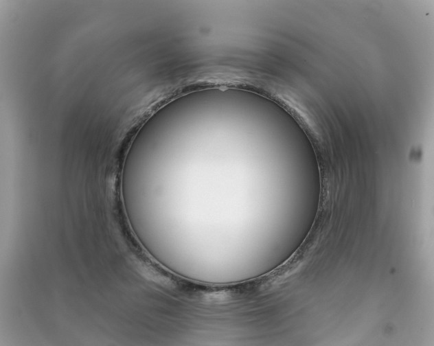 X0000091290309200708101032