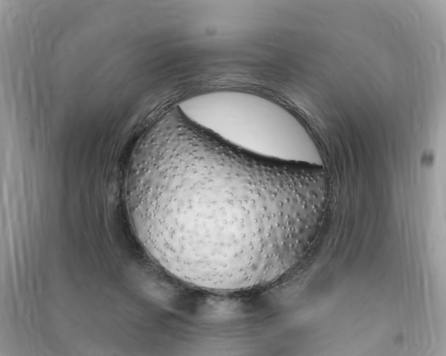 X0000091290311200708101032