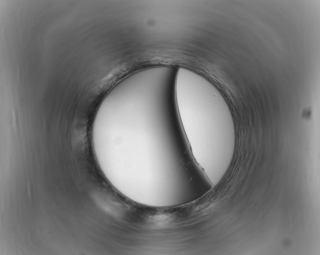 X0000091290312200708101032