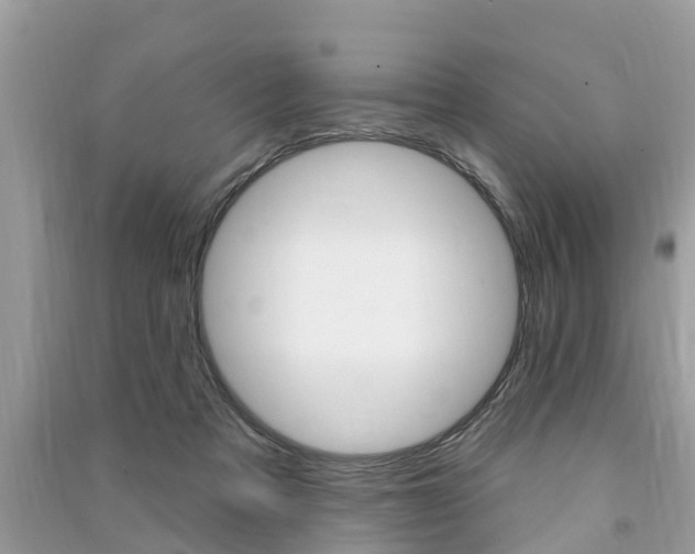 X0000091290313200708101032