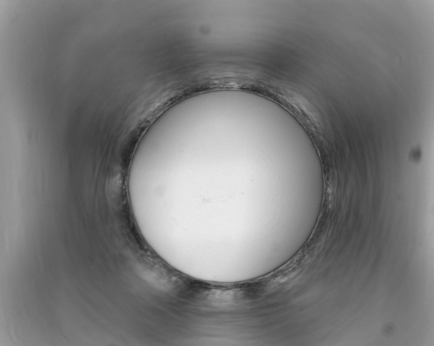 X0000091290314200708101032
