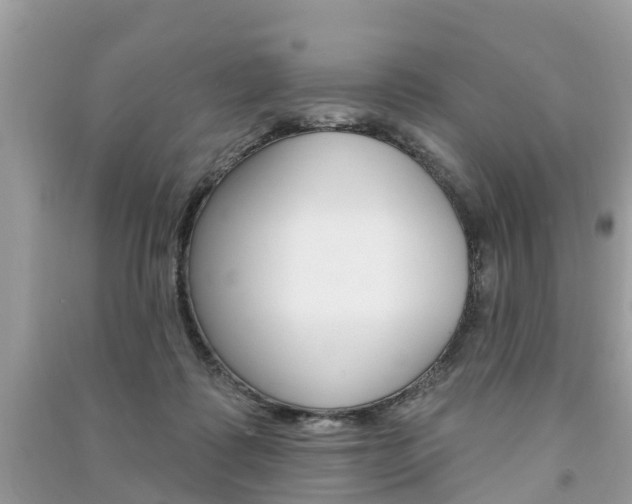 X0000091290315200708101032