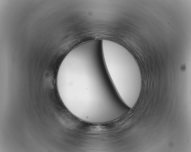 X0000091290316200708101032