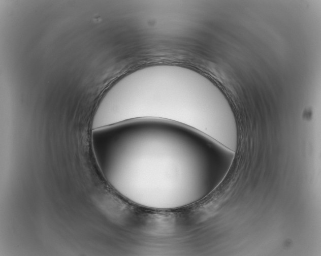 X0000091290317200708101032
