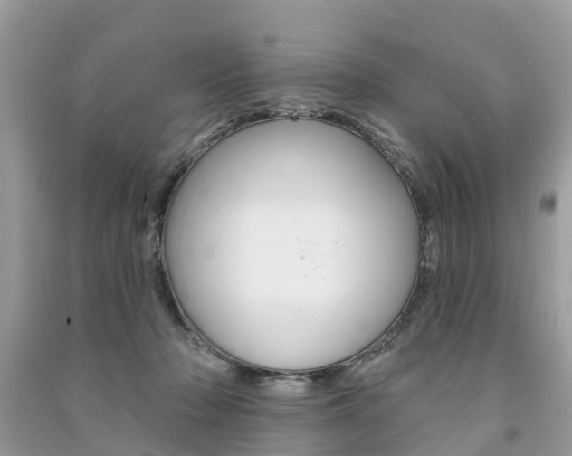 X0000091290318200708101032