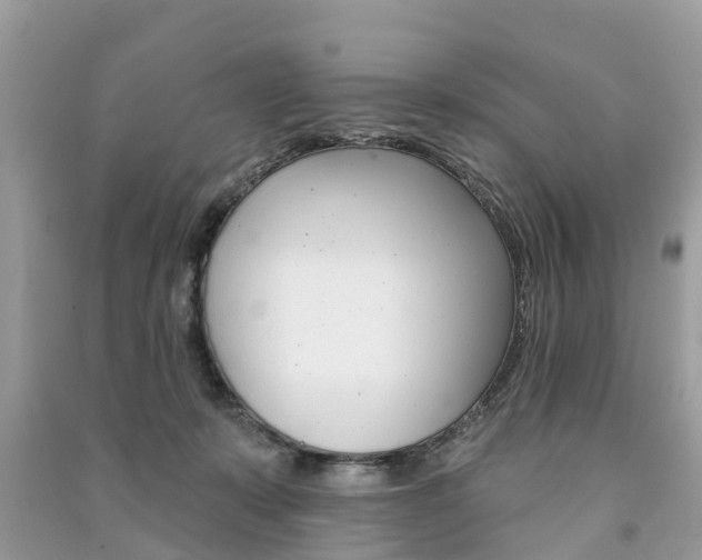X0000091290319200708101032