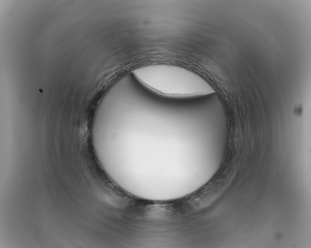 X0000091290320200708101032