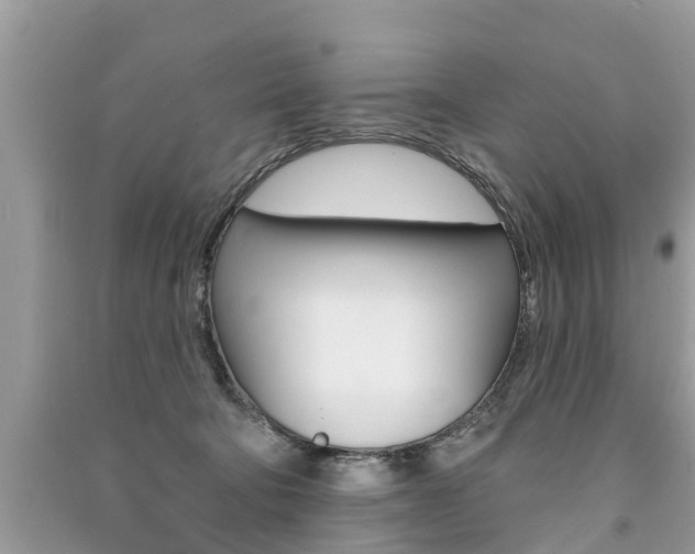 X0000091290322200708101032