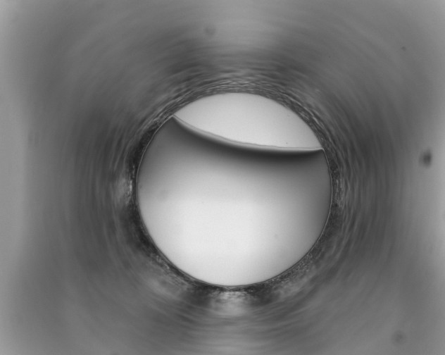 X0000091290324200708101032
