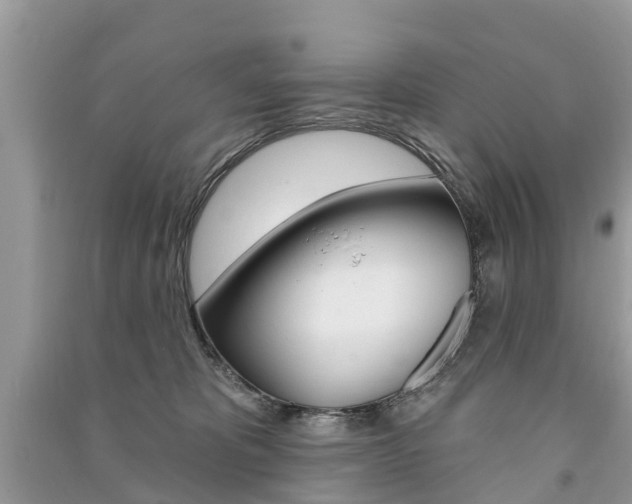 X0000091290325200708101032
