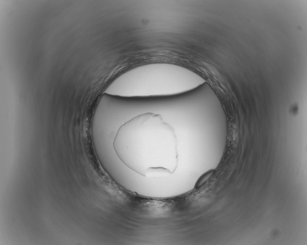 X0000091290326200708101032