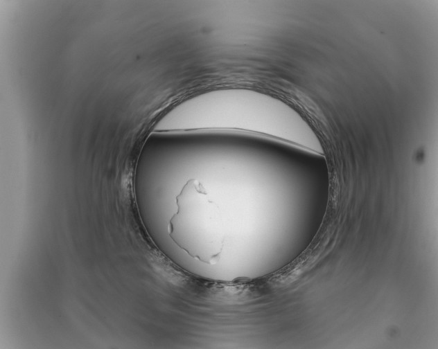 X0000091290329200708101031