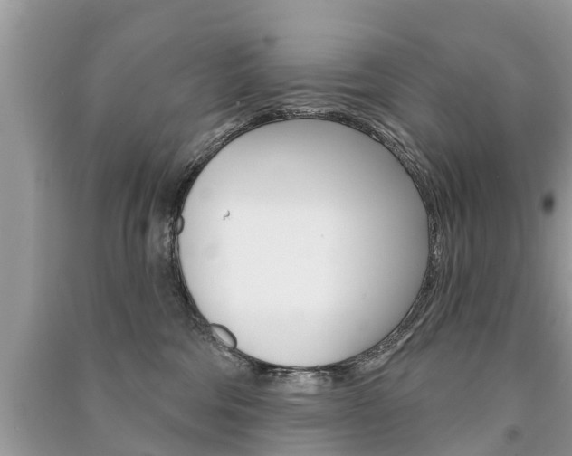 X0000091290330200708101031