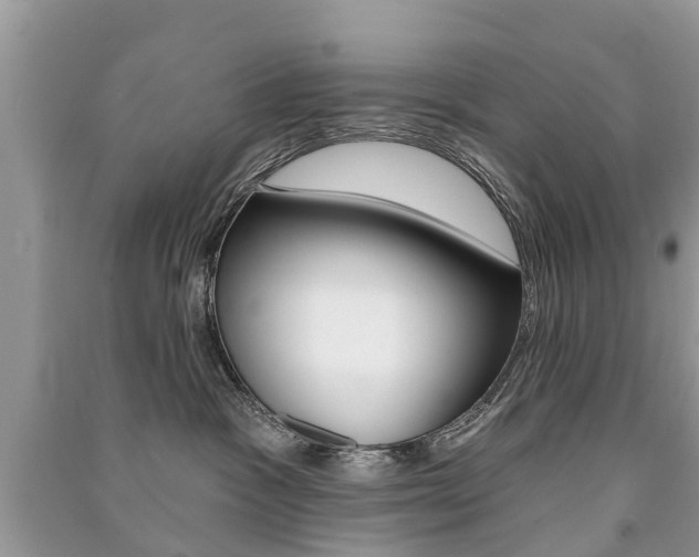 X0000091290333200708101031