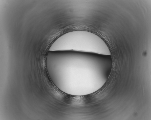 X0000091290335200708101031