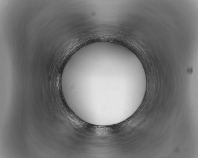 X0000091290336200708101031