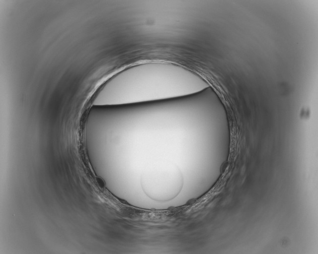 X0000091290338200708101031