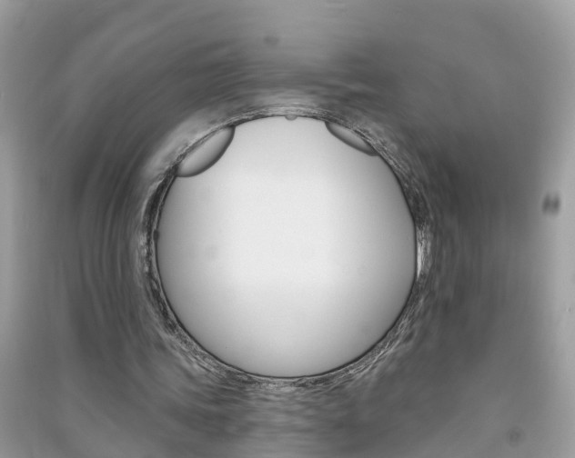 X0000091290339200708101031