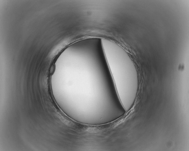 X0000091290341200708101031