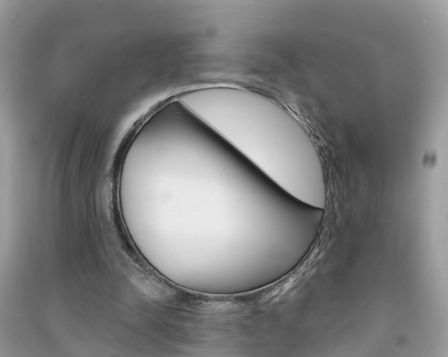 X0000091290342200708101031