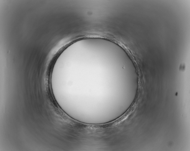 X0000091290343200708101031
