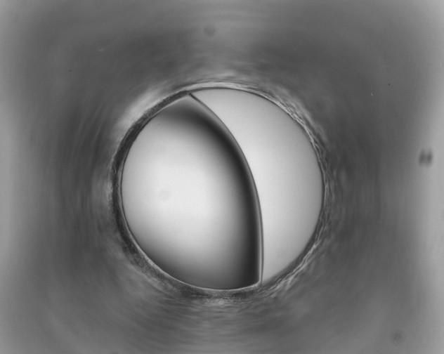 X0000091290344200708101031