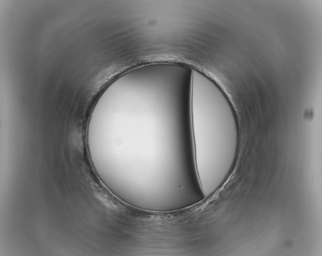 X0000091290345200708101031