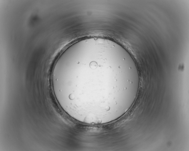 X0000091290347200708101031