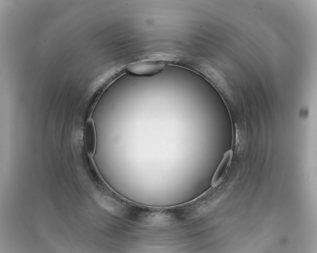 X0000091290348200708101031