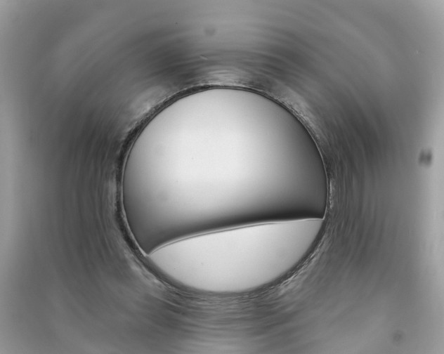 X0000091290349200708101031