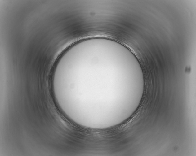 X0000091290350200708101031