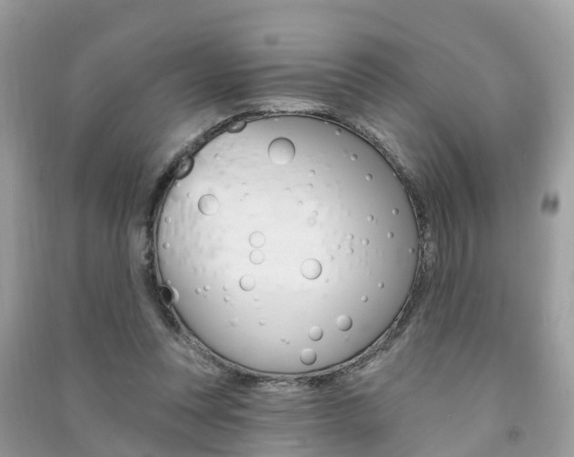 X0000091290351200708101031