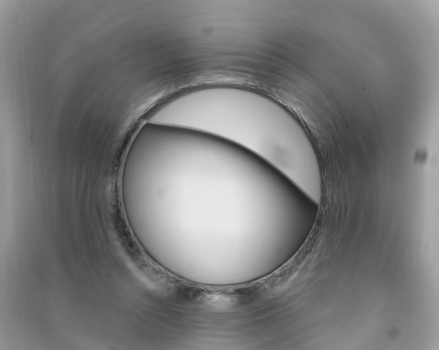 X0000091290352200708101031
