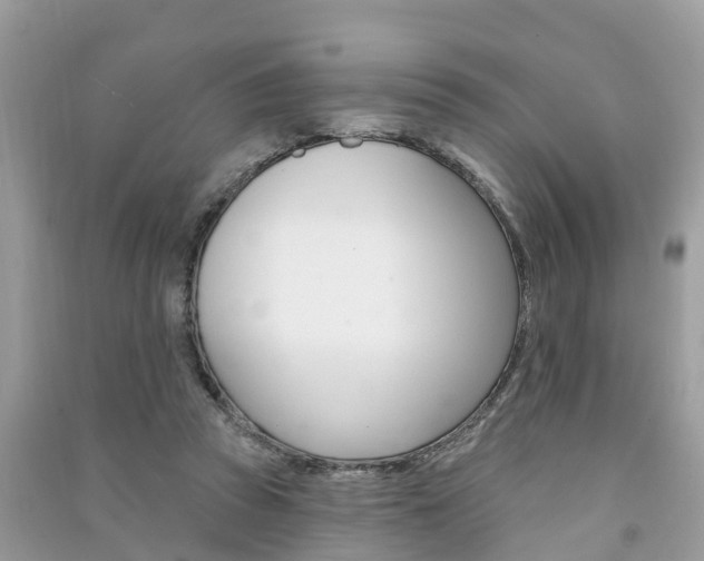 X0000091290353200708101031