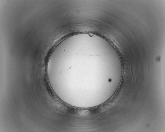 X0000091290355200708101031