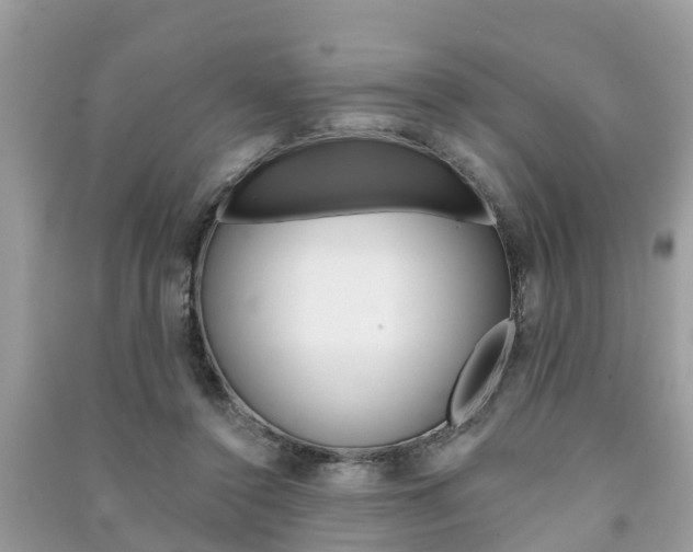 X0000091290356200708101031