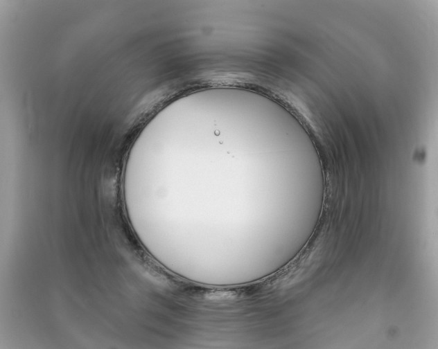 X0000091290357200708101031