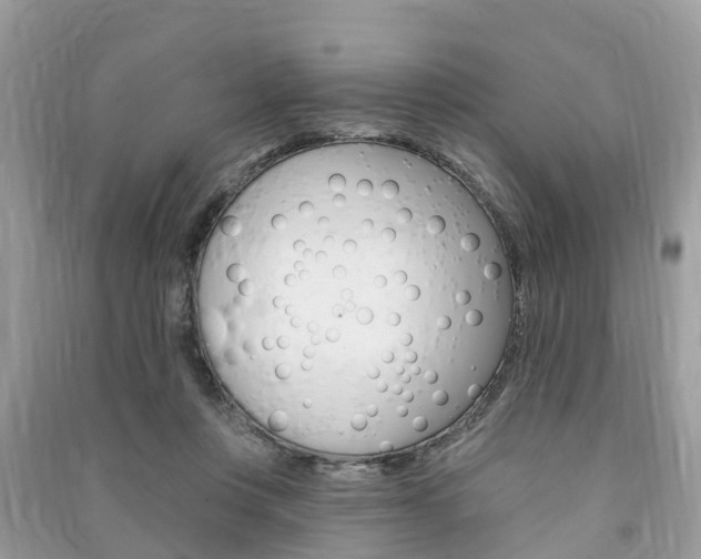 X0000091290359200708101031
