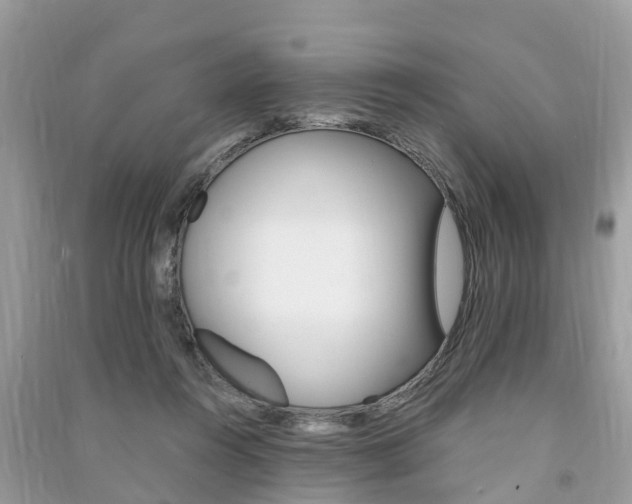 X0000091290360200708101031