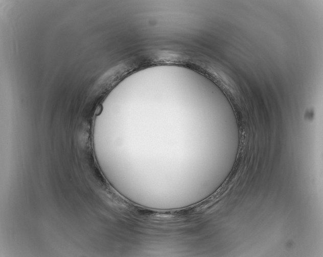 X0000091290361200708101031