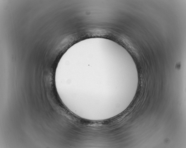 X0000091290362200708101031