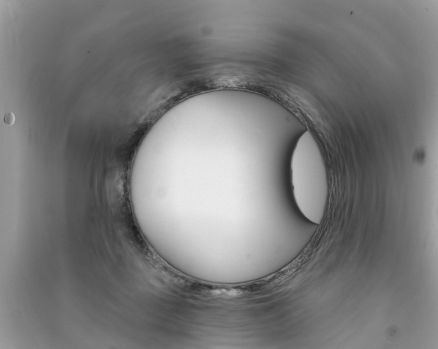 X0000091290363200708101031