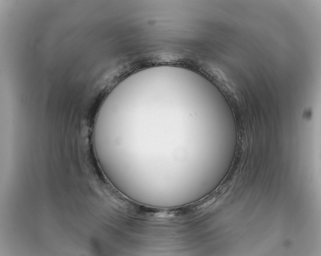 X0000091290366200708101031