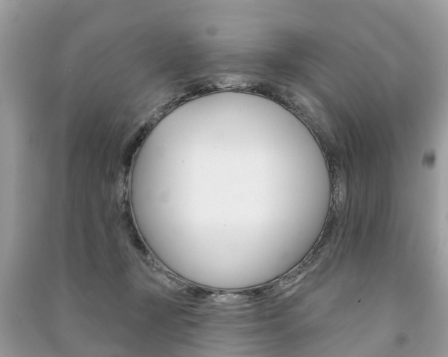 X0000091290367200708101031