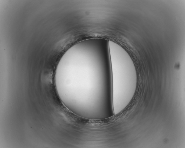 X0000091290368200708101031