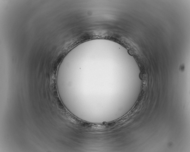 X0000091290369200708101031