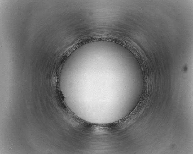X0000091290372200708101031