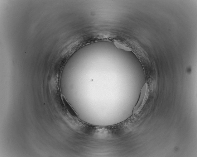 X0000091290376200708101031