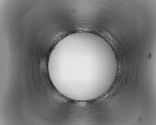 X0000091290377200708101031